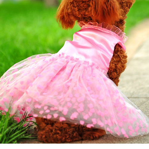 5Cgo 26426244930 寵物衣服公主裙 狗狗婚紗裙子冬天小型犬禮服秋冬裝 MIK94000